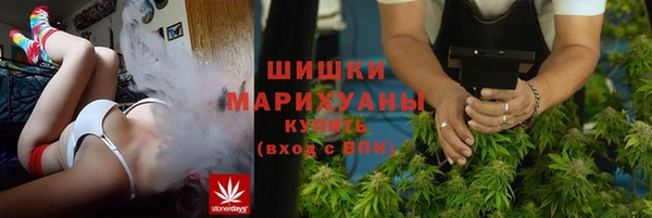 сатива Магадан