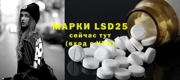 крисы Мегион