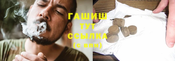 соль ск Ельня