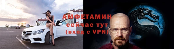 крисы Мегион